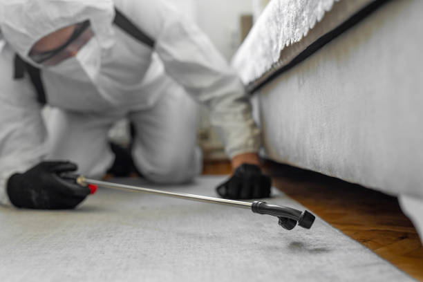 Professional Cockroach Control technician working in Larned, KS