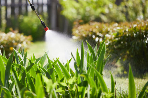 24/7 Emergency Cockroach Control experts in Larned, KS