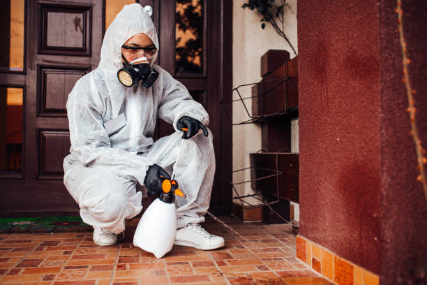 Reliable Cockroach Control contractor in Larned, KS by Nex Pest Control